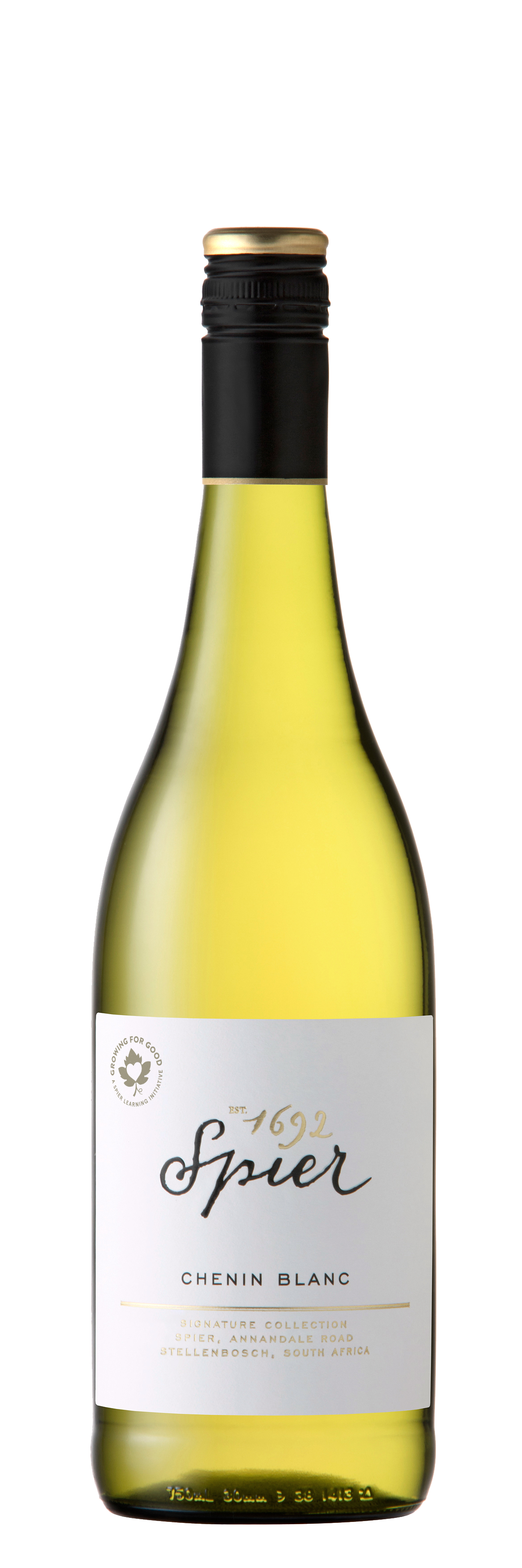 Spier | Signature Chenin blanc