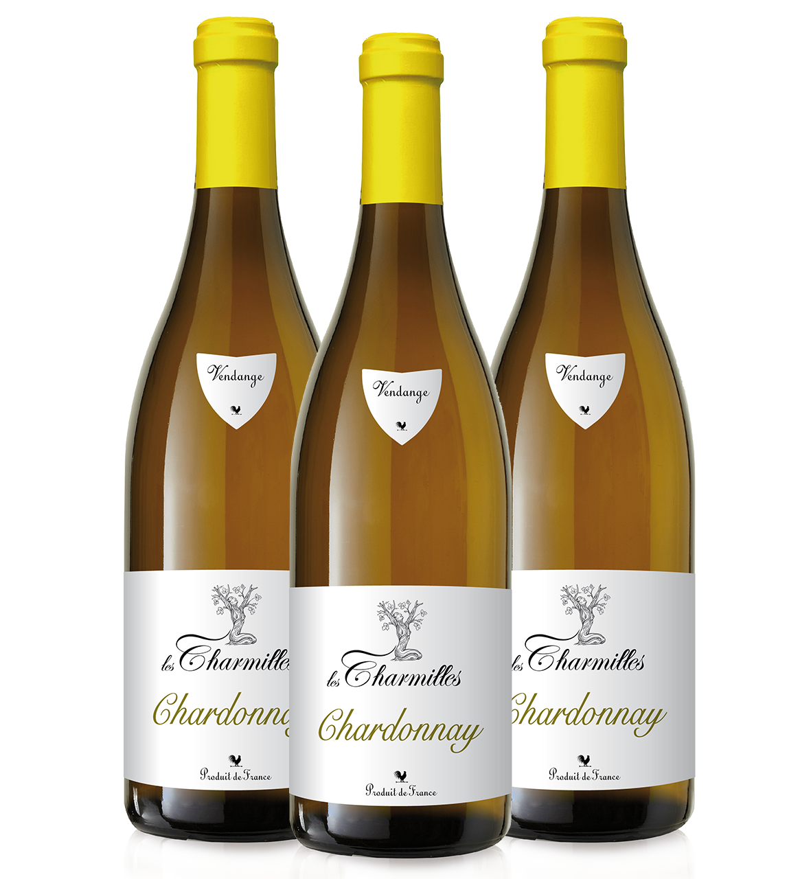 BVB | TRIO Domaine Roux | Les Charmilles - Chardonnay