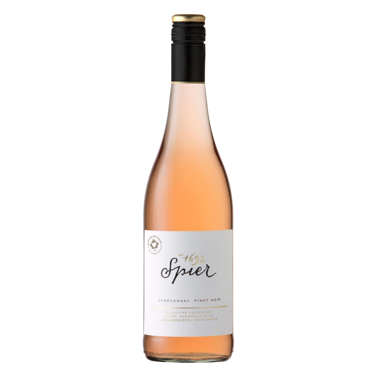 Spier | Signature rosé