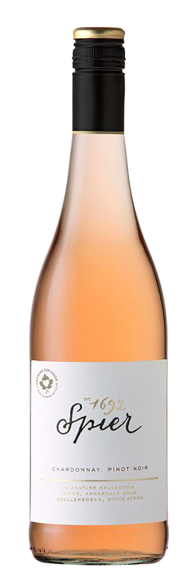 Spier | Signature rosé
