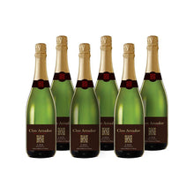Afbeelding in Gallery-weergave laden, Clos Amador Brut Nature
